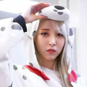 Meet your Posher, William